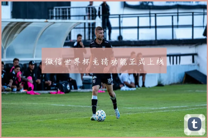 微信世界杯竞猜功能正式上线